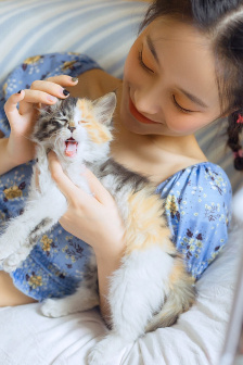 逗地主
